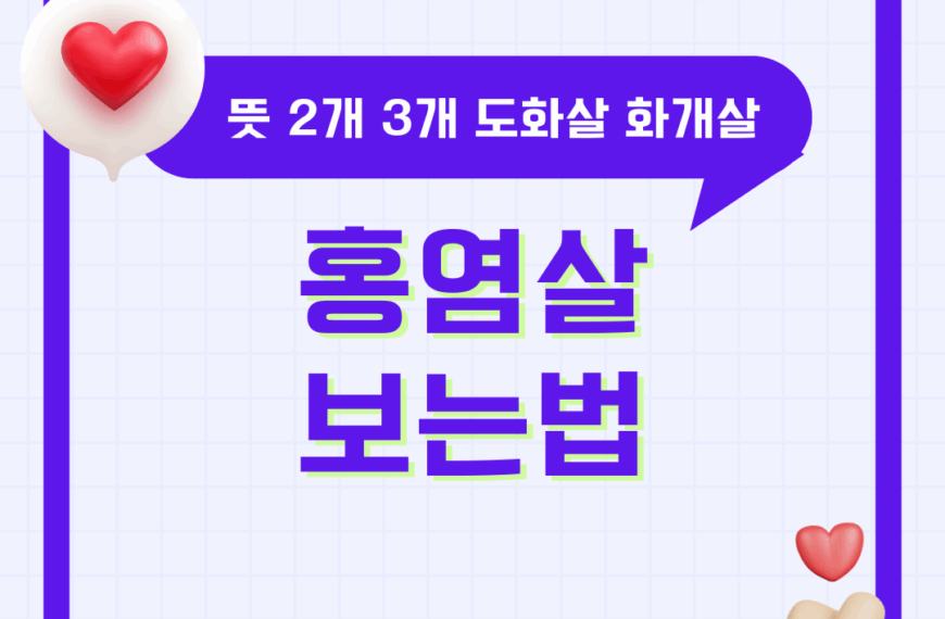 홍염살 보는법 2개 3개 뜻 여자 남자 사주 도화살 화개살 차이 및 특징