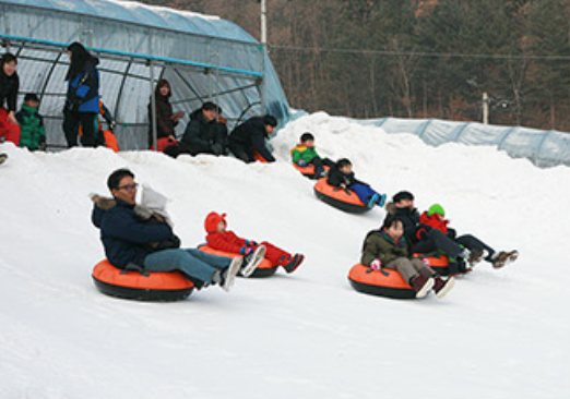 청양알프스마을 축제 눈썰매장 입장료 숙소 맛집 식당 펜션 글램핑 애견동반 총정리