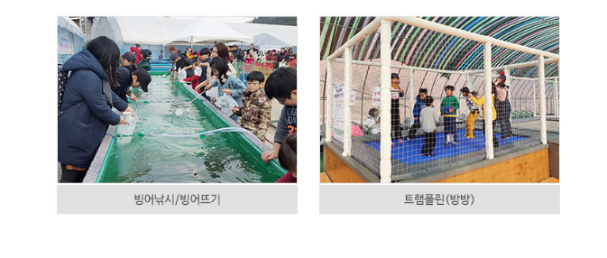 청양알프스마을 축제 눈썰매장 입장료 숙소 맛집 식당 펜션 글램핑 애견동반 총정리 4 알프스마을 축제 빙어낚시&트램폴린