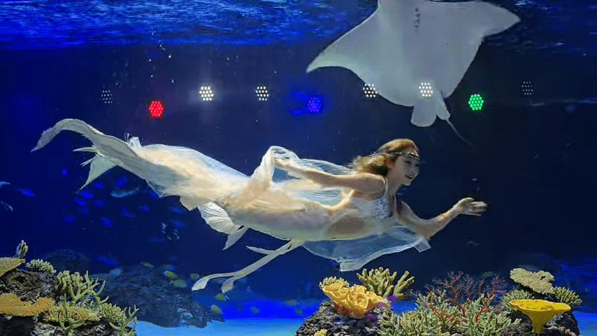 250505 광교아쿠아플라넷 머메이드쇼🧜 ♀️🧜 ♀️🧜 ♀️ 8 52 screenshot