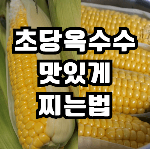 초당옥수수 삶는법 찌는법 및 전자레인지 활용법 (전자렌지 시간)